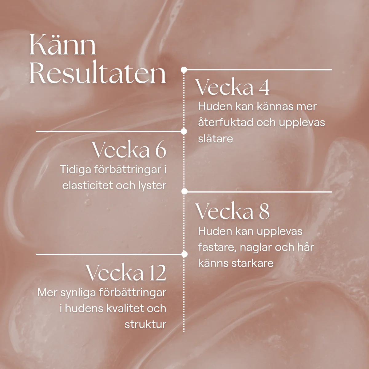 Collagen+ - Image 10